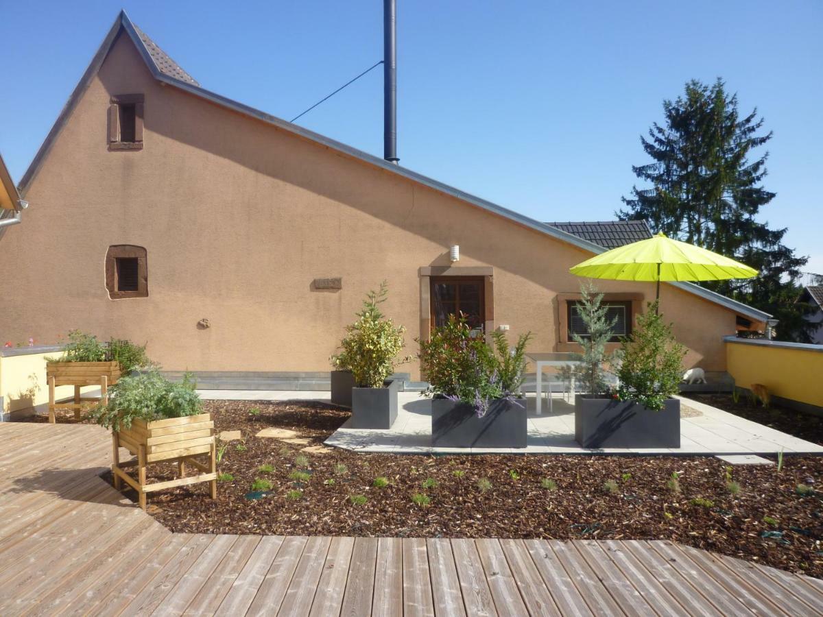 La Tete Au Soleil Apartment Soultzmatt Luaran gambar